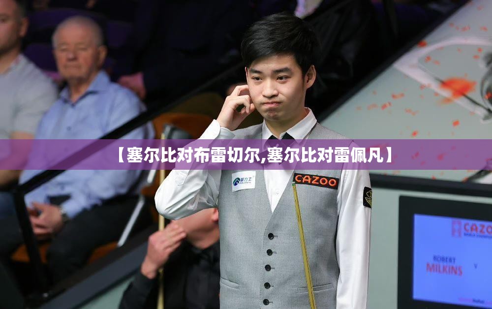 【塞尔比对布雷切尔,塞尔比对雷佩凡】