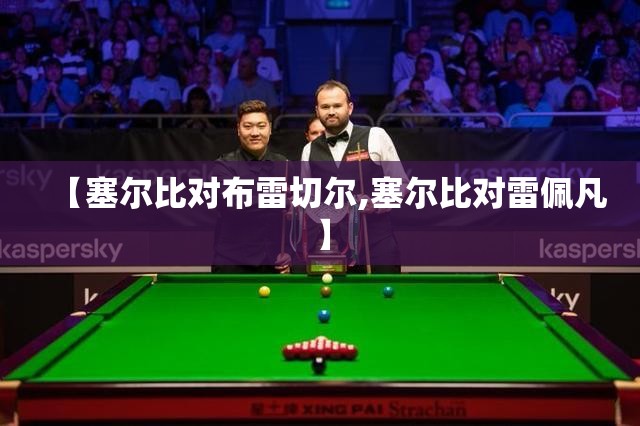 【塞尔比对布雷切尔,塞尔比对雷佩凡】