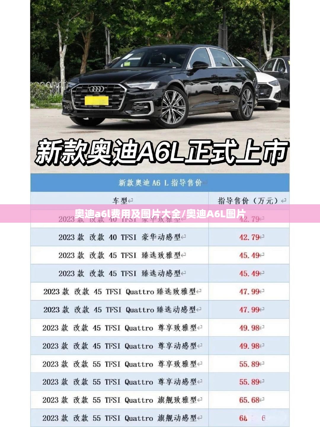 奥迪a6l费用及图片大全/奥迪A6L图片