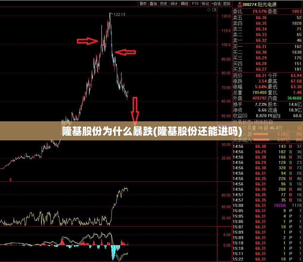 隆基股份为什么暴跌(隆基股份还能进吗)