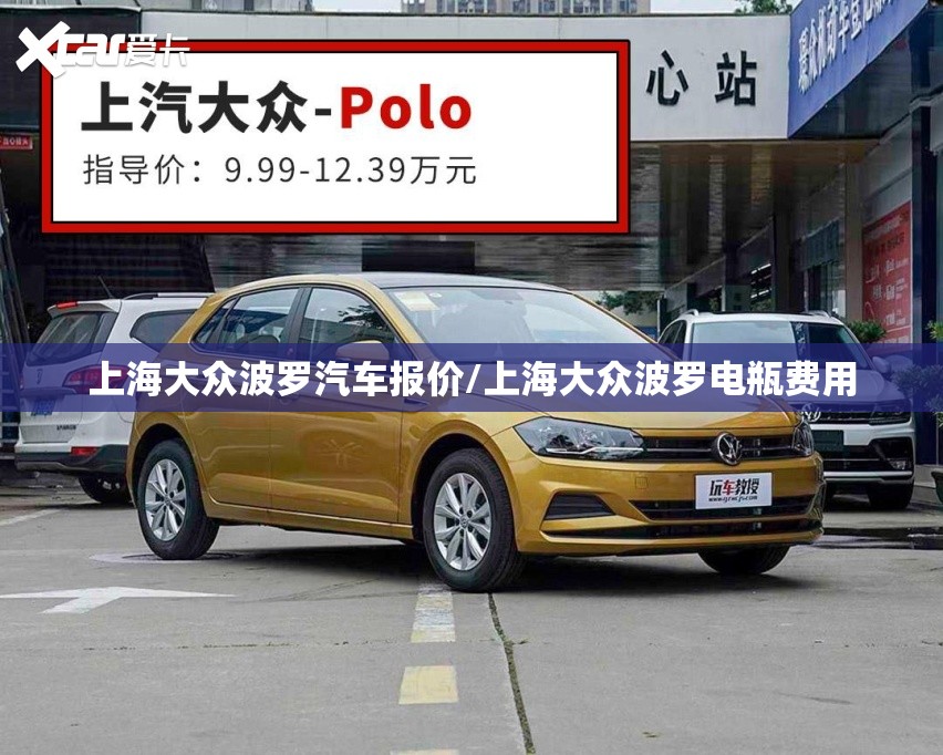 上海大众波罗汽车报价/上海大众波罗电瓶费用