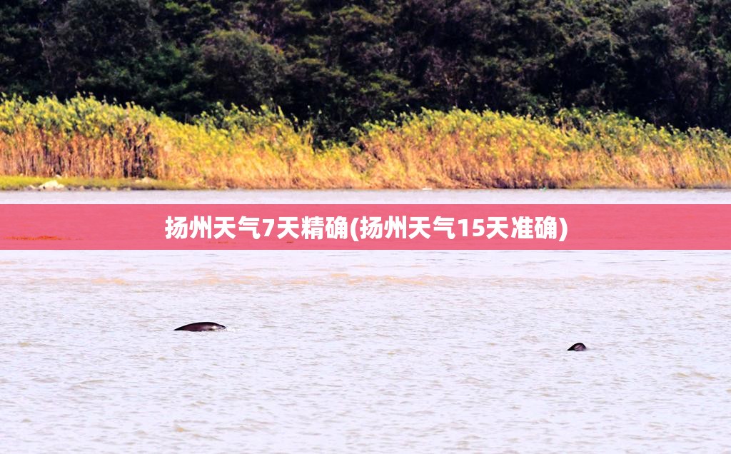 扬州天气7天精确(扬州天气15天准确) 扬州天气7天精确(扬州天气15天准确)