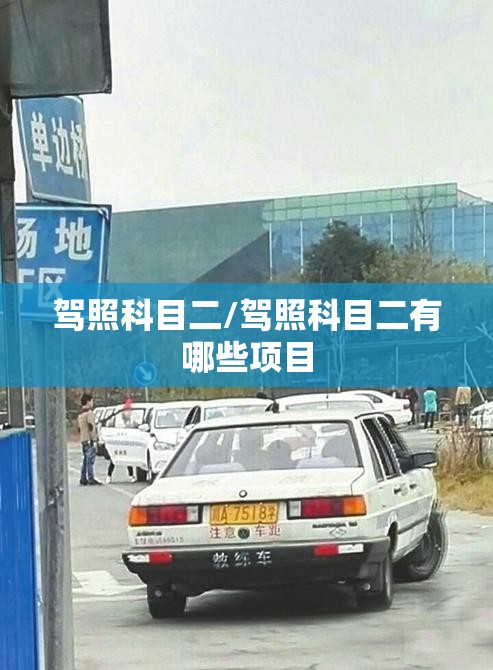 驾照科目二/驾照科目二有哪些项目 驾照科目二/驾照科目二有哪些项目