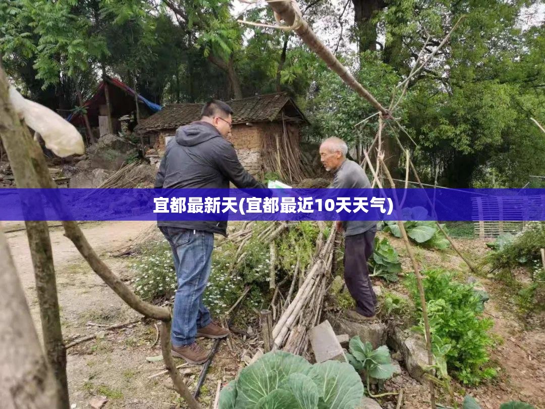 宜都最新天(宜都最近10天天气)