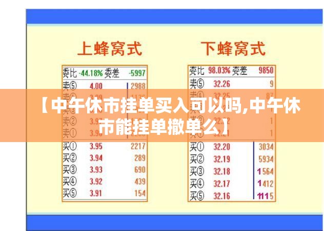 【中午休市挂单买入可以吗,中午休市能挂单撤单么】