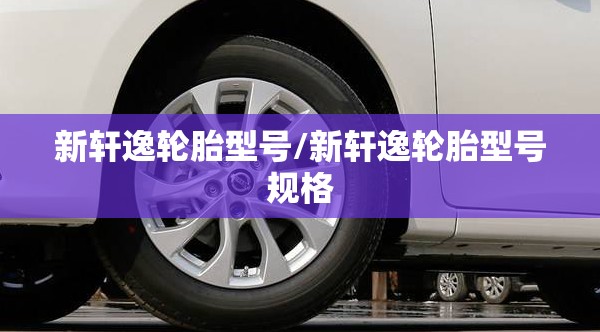 新轩逸轮胎型号/新轩逸轮胎型号规格