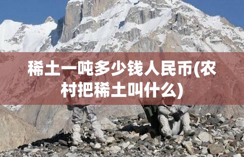 稀土一吨多少钱人民币(农村把稀土叫什么)