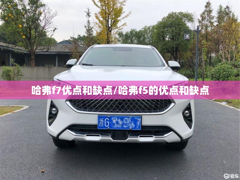 哈弗f7优点和缺点/哈弗f5的优点和缺点