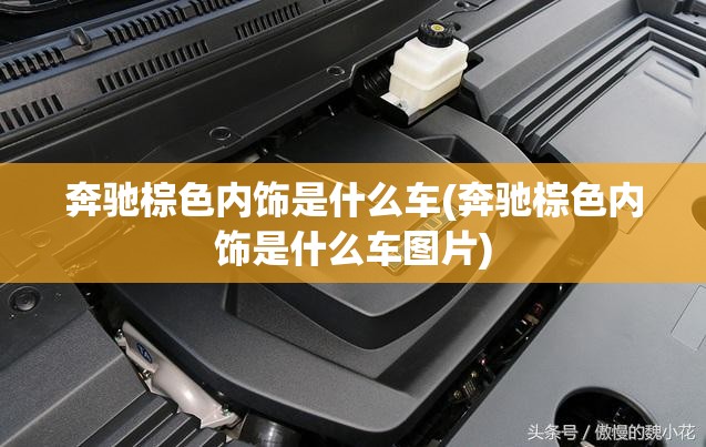 奔驰棕色内饰是什么车(奔驰棕色内饰是什么车图片) 奔驰棕色内饰是什么车(奔驰棕色内饰是什么车图片)