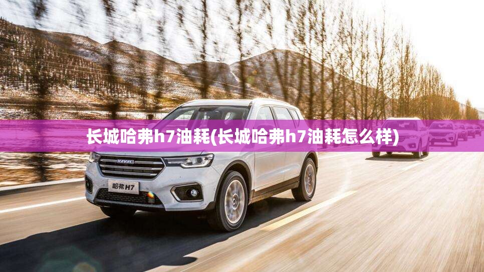 长城哈弗h7油耗(长城哈弗h7油耗怎么样)
