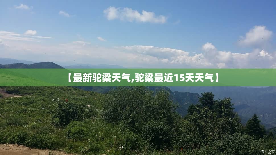 【最新驼梁天气,驼梁最近15天天气】