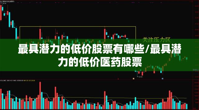 最具潜力的低价股票有哪些/最具潜力的低价医药股票