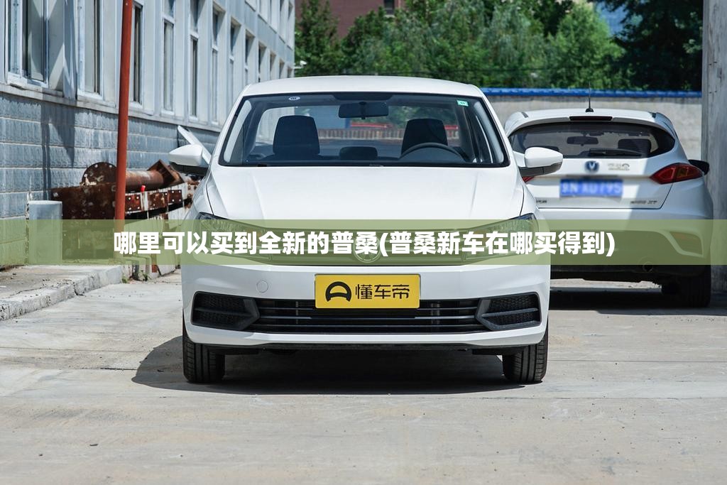 哪里可以买到全新的普桑(普桑新车在哪买得到)