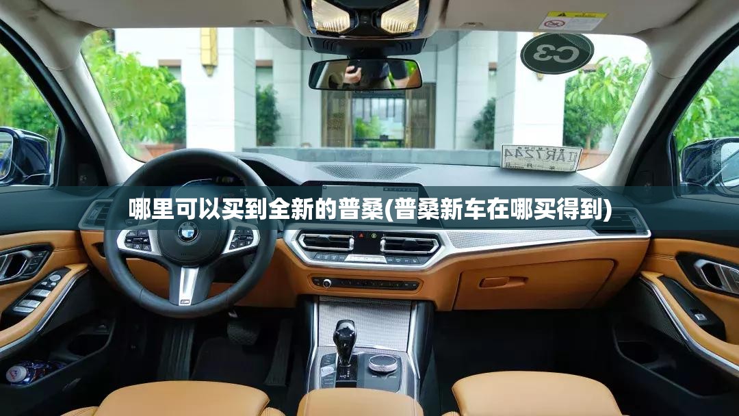 哪里可以买到全新的普桑(普桑新车在哪买得到)