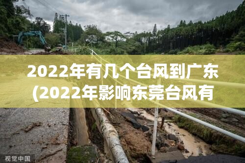 2022年有几个台风到广东(2022年影响东莞台风有几个)