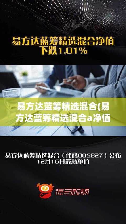 易方达蓝筹精选混合(易方达蓝筹精选混合a净值变化)