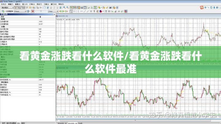 看黄金涨跌看什么软件/看黄金涨跌看什么软件最准