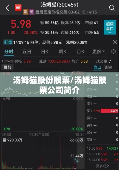汤姆猫股份股票/汤姆猫股票公司简介 汤姆猫股份股票/汤姆猫股票公司简介