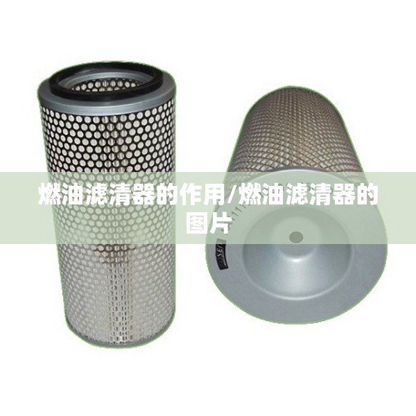 燃油滤清器的作用/燃油滤清器的图片