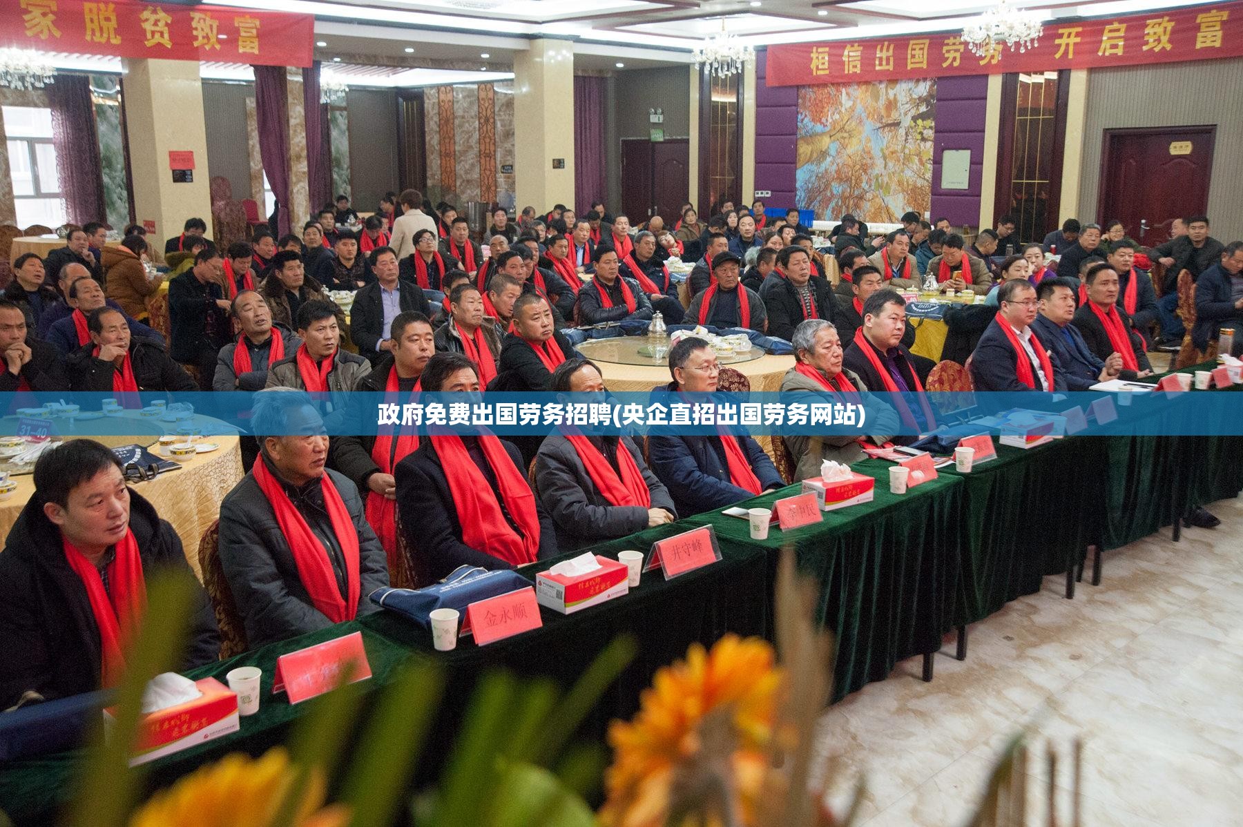 政府免费出国劳务招聘(央企直招出国劳务网站)