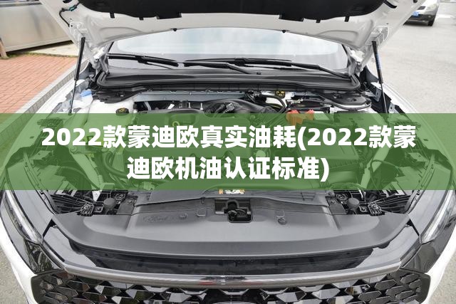 2022款蒙迪欧真实油耗(2022款蒙迪欧机油认证标准)