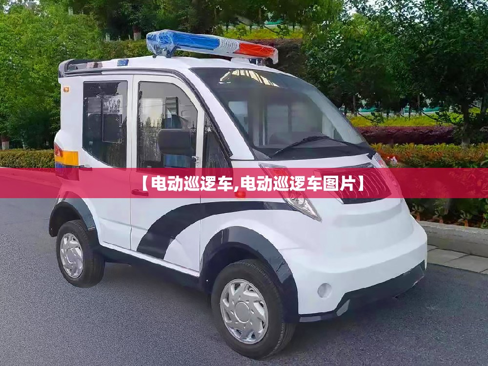 【电动巡逻车,电动巡逻车图片】