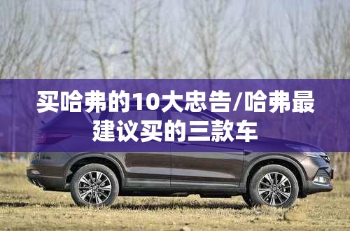 买哈弗的10大忠告/哈弗最建议买的三款车 买哈弗的10大忠告/哈弗最建议买的三款车
