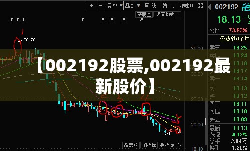【002192股票,002192最新股价】