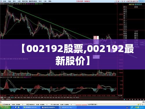 【002192股票,002192最新股价】