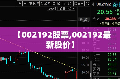【002192股票,002192最新股价】