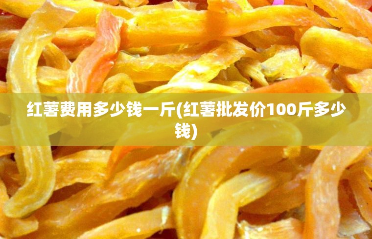 红薯费用多少钱一斤(红薯批发价100斤多少钱) 红薯费用多少钱一斤(红薯批发价100斤多少钱)