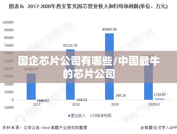 国企芯片公司有哪些/中国最牛的芯片公司