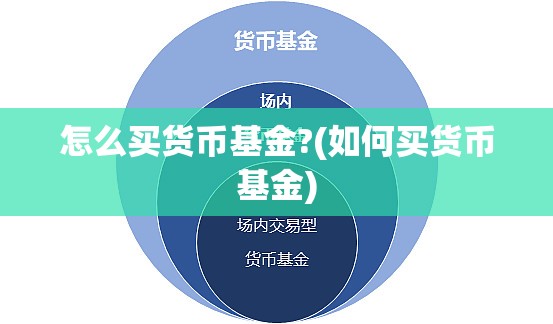 怎么买货币基金?(如何买货币基金)
