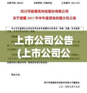 上市公司公告(上市公司公告披露规则)