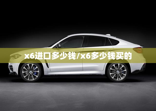 x6进口多少钱/x6多少钱买的