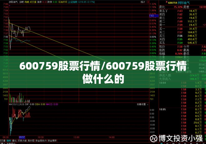 600759股票行情/600759股票行情做什么的