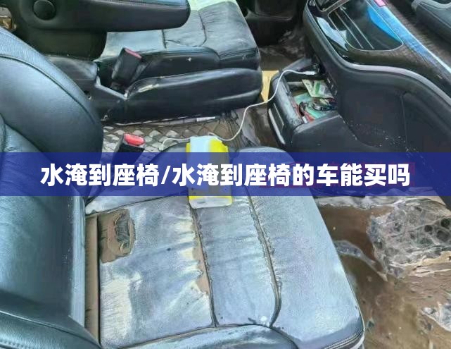 水淹到座椅/水淹到座椅的车能买吗 水淹到座椅/水淹到座椅的车能买吗
