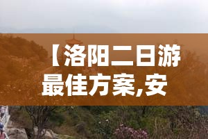 【洛阳二日游最佳方案,安阳去洛阳二日游最佳方案】 【洛阳二日游最佳方案,安阳去洛阳二日游最佳方案】