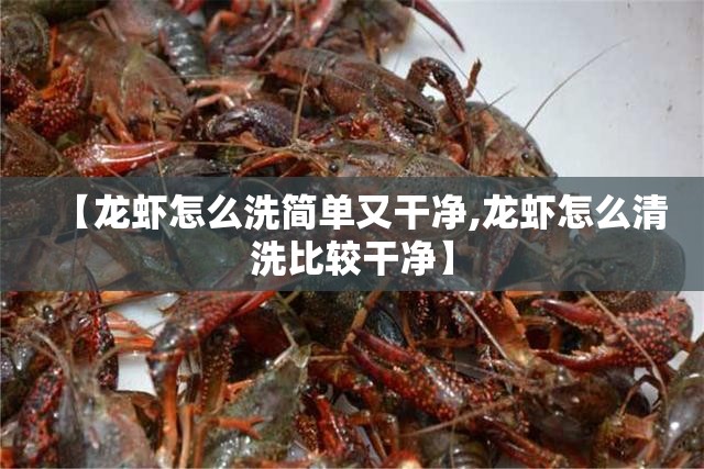 【龙虾怎么洗简单又干净,龙虾怎么清洗比较干净】