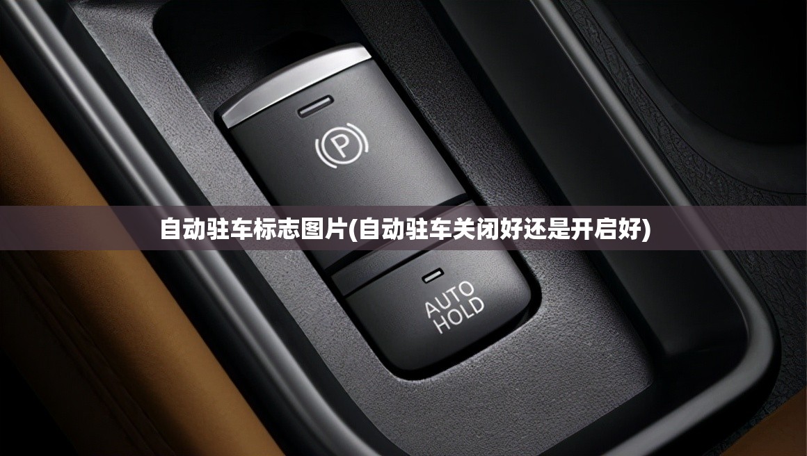 自动驻车标志图片(自动驻车关闭好还是开启好)