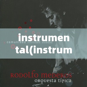 instrumental(instrumental music) instrumental(instrumental music)