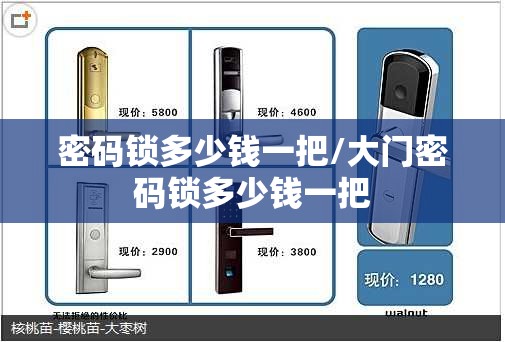 密码锁多少钱一把/大门密码锁多少钱一把 密码锁多少钱一把/大门密码锁多少钱一把