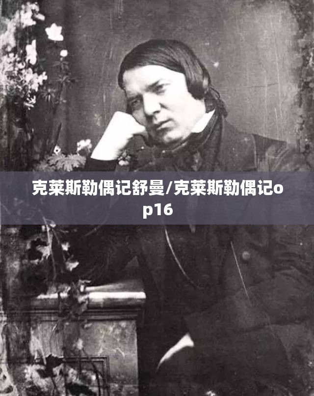 克莱斯勒偶记舒曼/克莱斯勒偶记op16 克莱斯勒偶记舒曼/克莱斯勒偶记op16