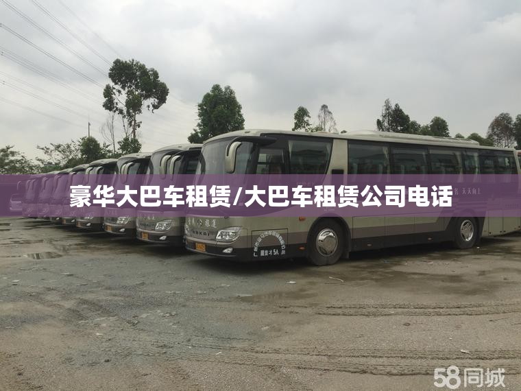 豪华大巴车租赁/大巴车租赁公司电话 豪华大巴车租赁/大巴车租赁公司电话