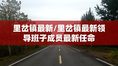 里岔镇最新/里岔镇最新领导班子成员最新任命