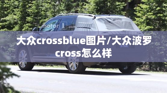 大众crossblue图片/大众波罗cross怎么样 大众crossblue图片/大众波罗cross怎么样