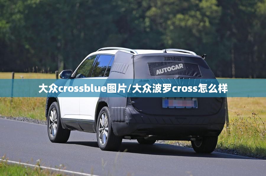 大众crossblue图片/大众波罗cross怎么样 大众crossblue图片/大众波罗cross怎么样