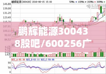 鹏辉能源300438股吧/600256广汇能源股吧 鹏辉能源300438股吧/600256广汇能源股吧