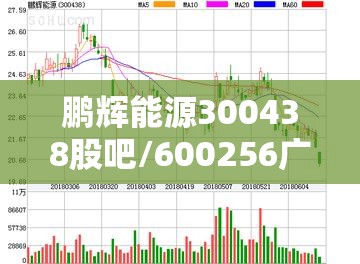 鹏辉能源300438股吧/600256广汇能源股吧 鹏辉能源300438股吧/600256广汇能源股吧
