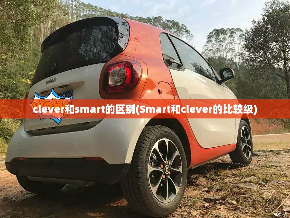 clever和smart的区别(Smart和clever的比较级)